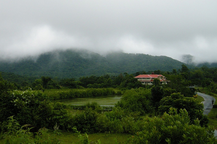 Ultimate Tourist Places in India 2025: 12 Breathtaking Destinations