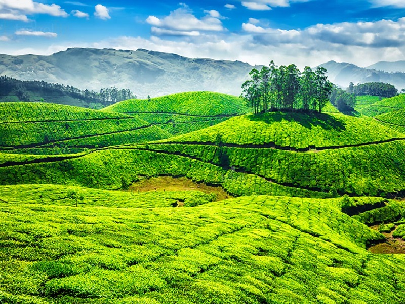 Ultimate Tourist Places in India 2025: 12 Breathtaking Destinations