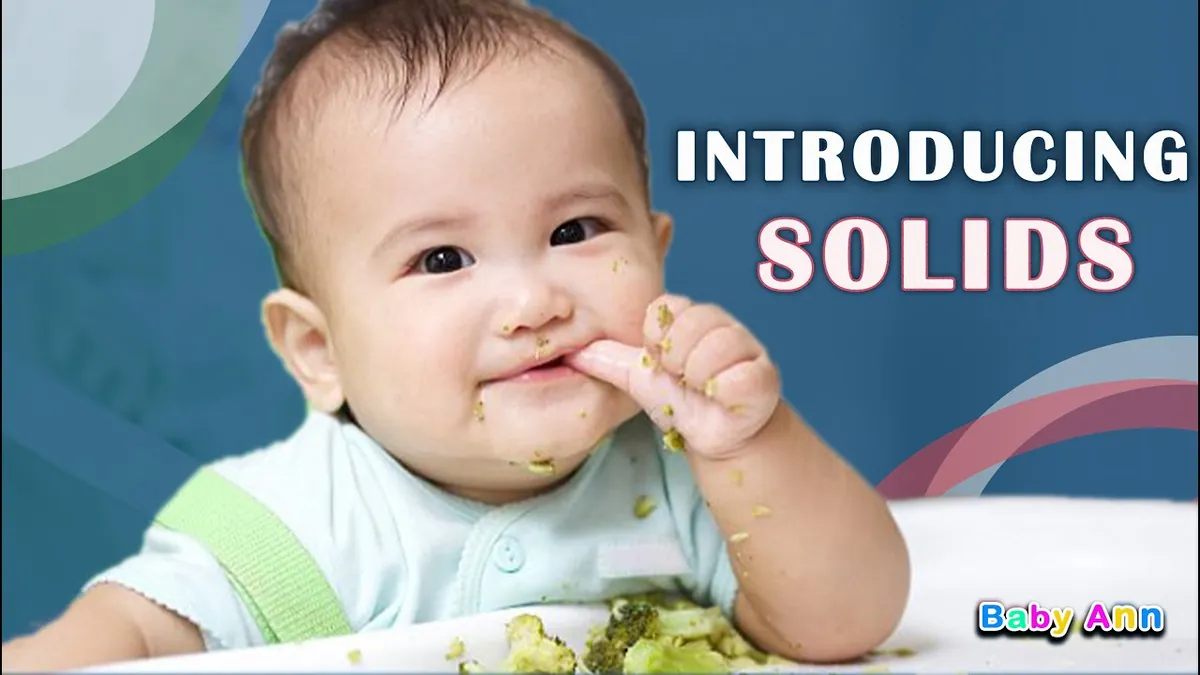 Complete Guide to Introducing Solid Foods: tages of baby food & Feeding Guide (2025)