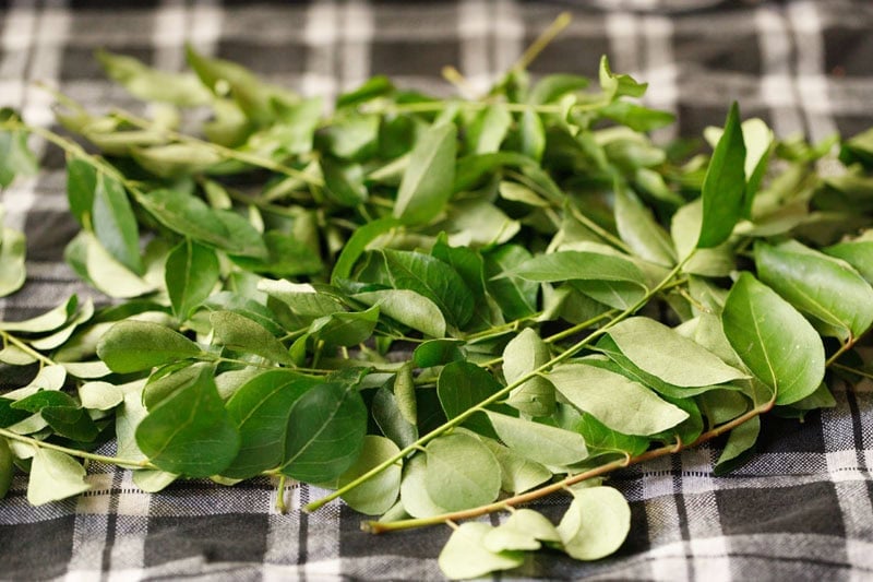 Homemade Curry Leaves Powder Recipe (Karuveppilai Podi): The Ultimate South Indian Spice Blend Guide 2024