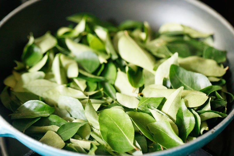 Homemade Curry Leaves Powder Recipe (Karuveppilai Podi): The Ultimate South Indian Spice Blend Guide 2024