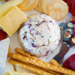 Cranberry Cream Cheese Dip – Kidgredients