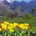 Places to Visit in April in India: 14 Perfect Summer Destinations for 2025