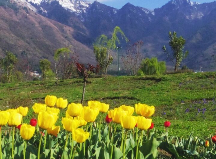 Places to Visit in April in India: 14 Perfect Summer Destinations for 2025