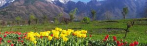 Places to Visit in April in India: 14 Perfect Summer Destinations for 2025