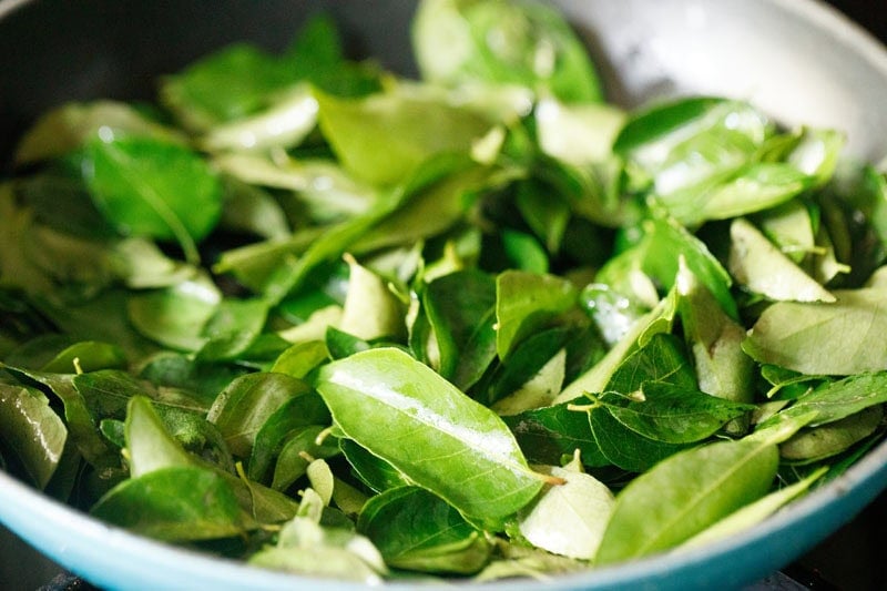 Homemade Curry Leaves Powder Recipe (Karuveppilai Podi): The Ultimate South Indian Spice Blend Guide 2024 Homemade Curry Leaves Powder Recipe (Karuveppilai Podi): The Ultimate South Indian Spice Blend Guide 2024