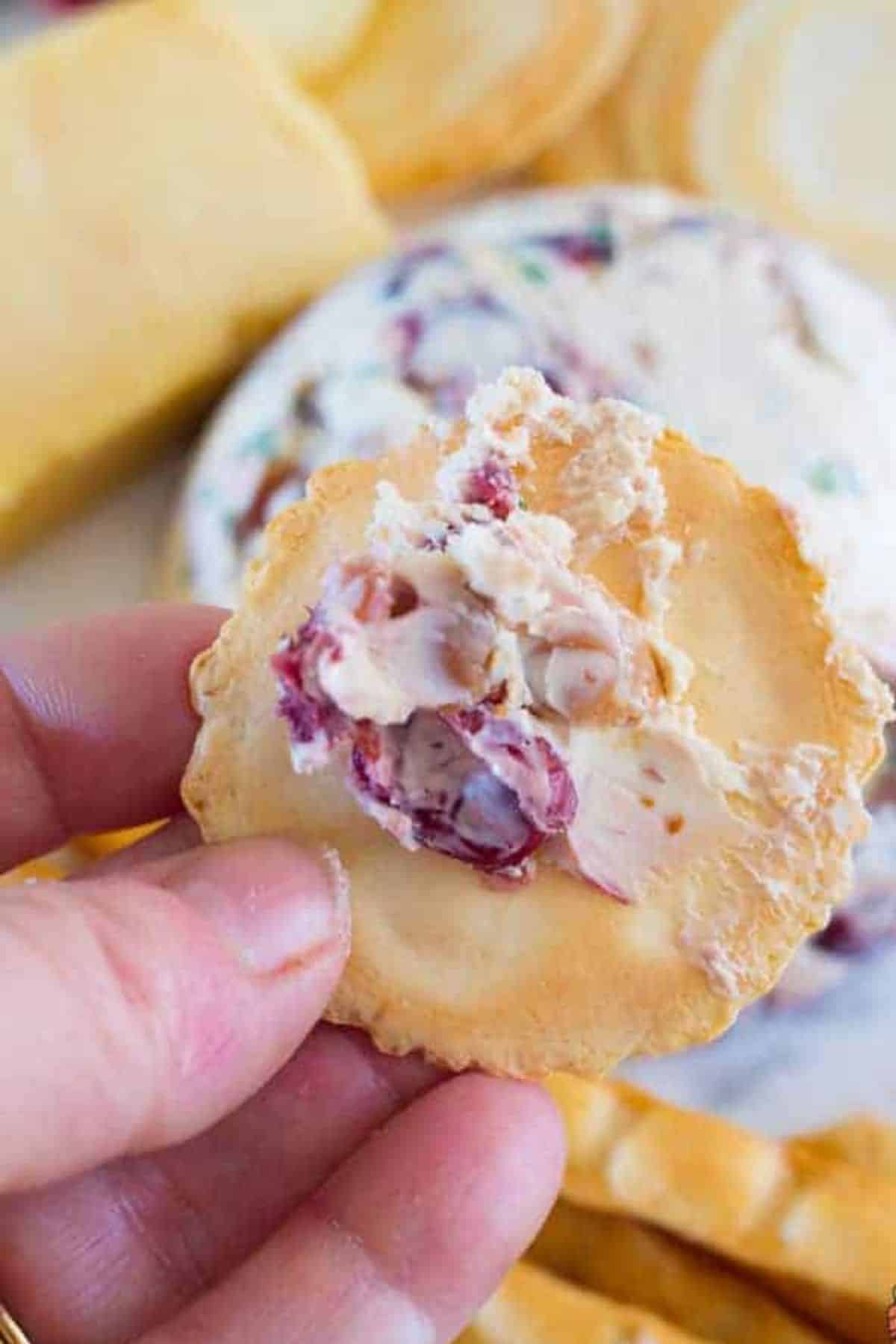 Cranberry Cream Cheese Dip - Kidgredients