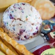 Cranberry Cream Cheese Dip - Kidgredients