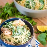 Creamy Salmon Pasta - Kidgredients