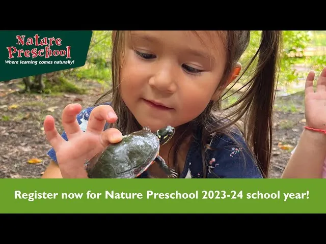 Cognitive Development Activities for 3 to 5 Year Olds: Expert Guide (2025) Cognitive Development Activities for 3 to 5 Year Olds: Expert Guide (2025)