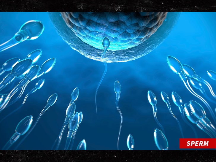 Sperm Racing Competition: World's First Event Features USC-UCLA Rivalry and Scientific Track USC vs UCLA rivalry in the sperm racing competition