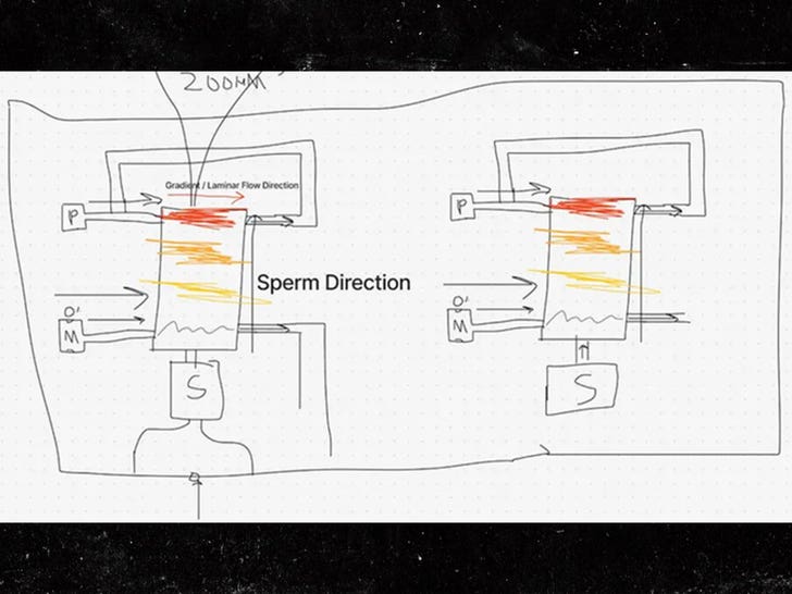 Sperm Racing Competition: World's First Event Features USC-UCLA Rivalry and Scientific Track Future potential of sperm racing competitions