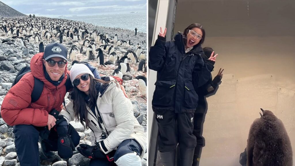 World Penguin Day 2025: Celebrities Share Adorable Moments with Antarctica's Beloved Birds Waddle With These Stars 'N Penguins For World Penguin Day!