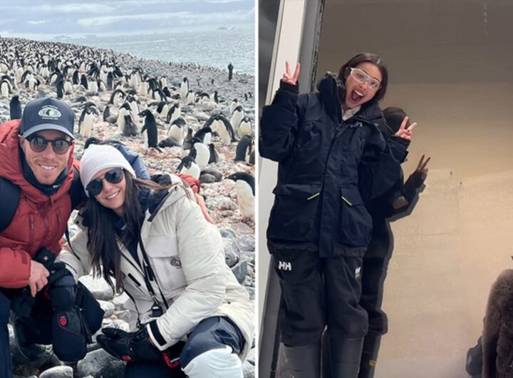 Waddle With These Stars 'N Penguins For World Penguin Day!