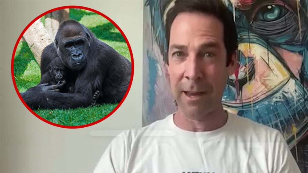 Top Primatologist Explains Why 100 Men vs 1 Gorilla Fight Wouldn't Happen