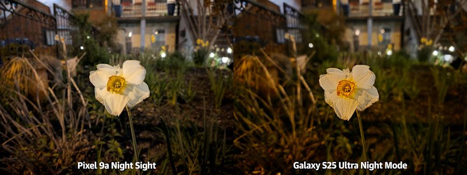 Google Pixel 9a Review 2024: Best Mid-Range Android Phone with $100 Store Credit Deal Google Pixel 9a Camera Samples