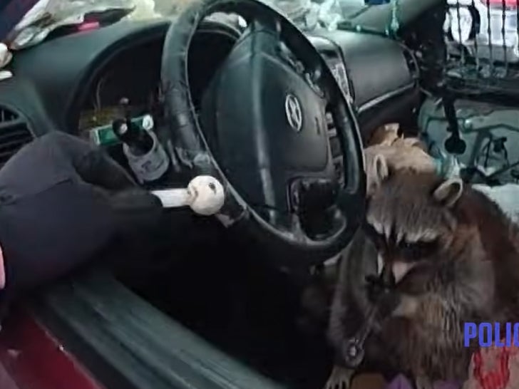 Ohio Raccoon Caught on Video Handling Meth Pipe During Owner's Drug Arrest Close-up of raccoon holding meth pipe in car