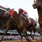 How horse owners invest and potentially earn millions