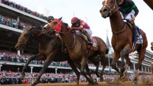 How horse owners invest and potentially earn millions