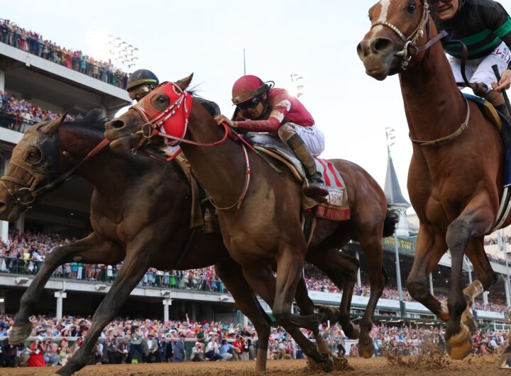 How horse owners invest and potentially earn millions